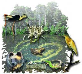 all_animals