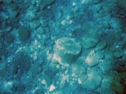 Ikaria - Archaeological 2