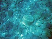 Ikaria - Archaeological 4