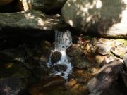 Ikaria - Mountain 0