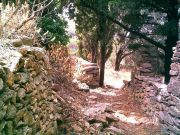 Ikaria - Mountain 24