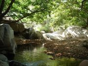Ikaria - Mountain 2