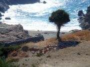 Ikaria - Nas 11