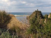 Ikaria - Sea 10